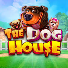 the dog house